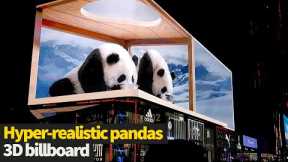 Hyper-realistic pandas glance at people from 3D billboard