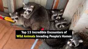 Top 15 Moments Of Wild Animals Invading Peoples Homes!