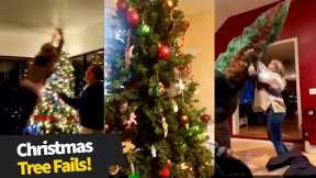 The Best Christmas Tree Fails!