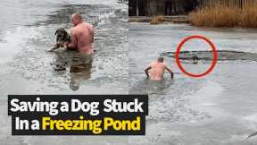 Brave Man Saves Dog That Fell Through Icy Pond
