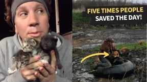 Top 5 Moments Animals Saved From Dangerous Situations