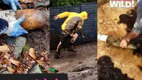 Gross Jobs you Never Thought Existed | Whoa! That Was Wild!