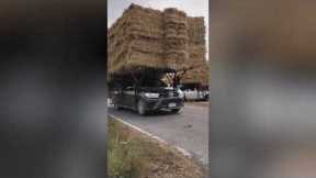 Pickup Truck Carries Massive Amounts of Straw Bales