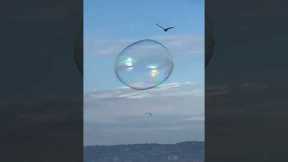 Massive bubble seen sailing across the Pacific Ocean in San Diego