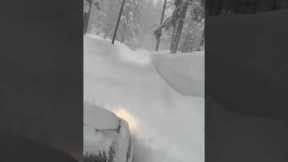 Driver braves 10-foot snowmageddon in California