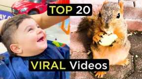 TOP 20 Best Viral Videos | The Best Of The Internet