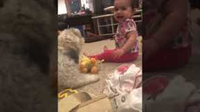 Baby can't stop giggling while playing with dog