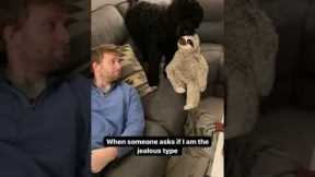 Jealous dog not happy with owner cuddling a sloth toy