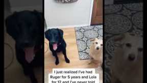 Girl tells her dogs her name for the first time