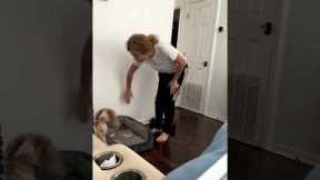 Spoiled dog won't eat treats unless owner stands by