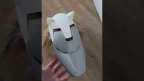Student creates a iron man mask for his dog