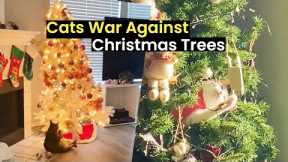 Cats War Against Christmas Trees