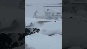 120CM+ snowfall in Nova Scotia