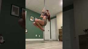 Kingston the canine joins pole dancing workout