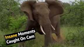Top 36 Ultimate Most Insane Moments Caught On Cam