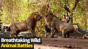 Top 17 INCREDIBLE Wild Animal Battles Caught On Cam