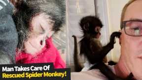 US man cares for rescued spider monkey as if it was his own child