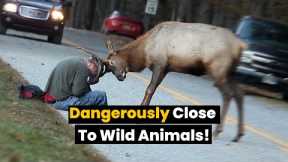 People Who Got Dangerously Close To Wild Animals!