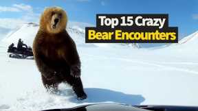 15 Unbelievable Bear Encounters - TOO Close For Comfort!