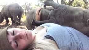Woman Casually Sleeps With Rhinos