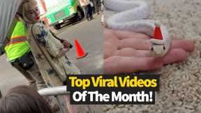 Top 30 Viral Videos Of The Month