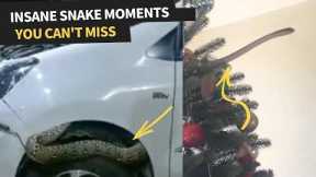 The most insane Snake moments caught on video