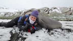 Photographer Captures Video Of His Wife Getting Hugged By Elephant Seals #shorts