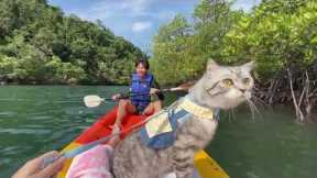 Cat Enjoys Exploring On Kayak With Its Owner #shorts #adventurecat