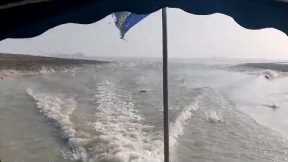 Thousands Of Fish Leap Out Of Lake As Boat Drives Past #shorts