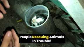 People rescuing animals in trouble!