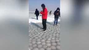 Huge Bubbles Of Ice Sit Underneath Frozen Lake