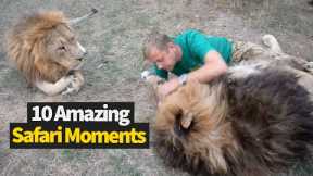 Top 10 Best Safari Moments Caught On Camera!