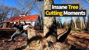 Top 15 Insane Tree Cutting Moments