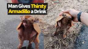 Man Helps Out A Thirsty Armadillo And Gives It A Drink