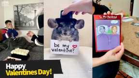 Top 15 Best Valentine's Day Surprises