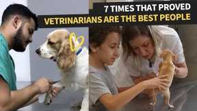 Veterinarians Working With The Feistiest Pets