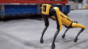 10 ADVANCED ANIMAL INSPIRED ROBOTS YOU NEED TO SEE