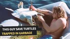 Family of Sea Turtles Rescued From Fishing Net | Incredible Animal Rescue