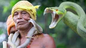 10 Deadliest Snakes In The World