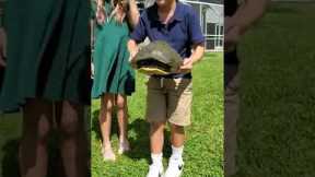 Turtle rescue in Florida has unexpectedly dramatic ending