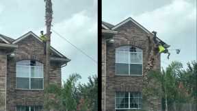 Most EXPENSIVE And FUNNY Tree Cutting Fails