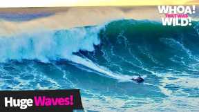 Huge Waves That Will Blow Your Mind | Whoa! That Was Wild!