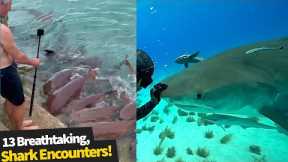 Shark encounters that were way too close for comfort! 😱