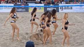 Hilarious moment dog interrupts cheerleader show