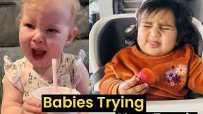 Babies Trying Foods For The First Time | Try Not to Laugh