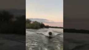 Terrifying moment GIANT HIPPO angrily chases sightseers!