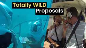 Unbelievable Marriage Proposals Compilation | Engagement Proposals