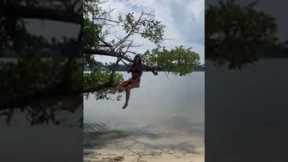 Woman Jumps Off Tree and has a Swimsuit Fail