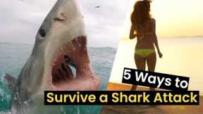 5 Ways to Survive a Shark Attack