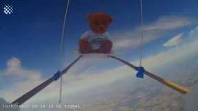 Teddy Bear Gets Launched into Space!